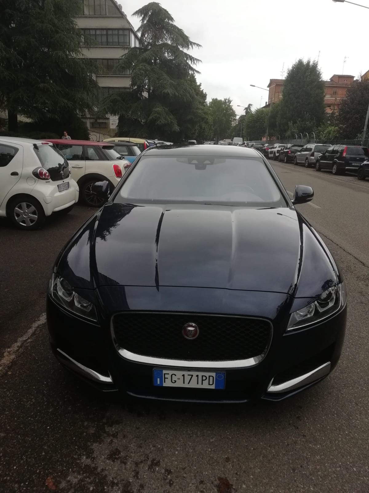 WhatsApp Image 2019-03-06 at 10.21.42